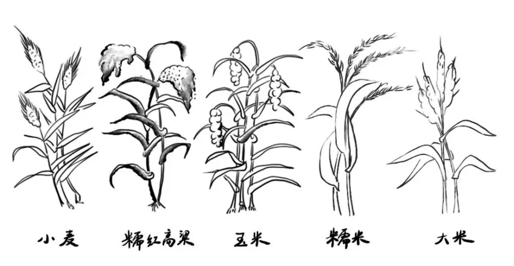 微信截图_20190418163758.png