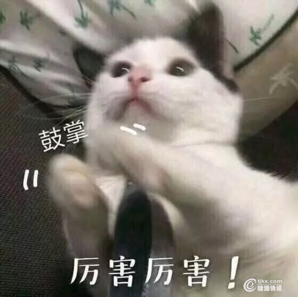 3.webp.jpg