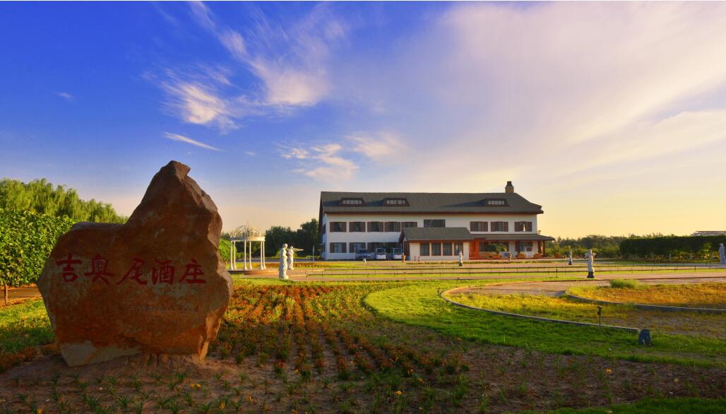 吉奥尼2.jpg
