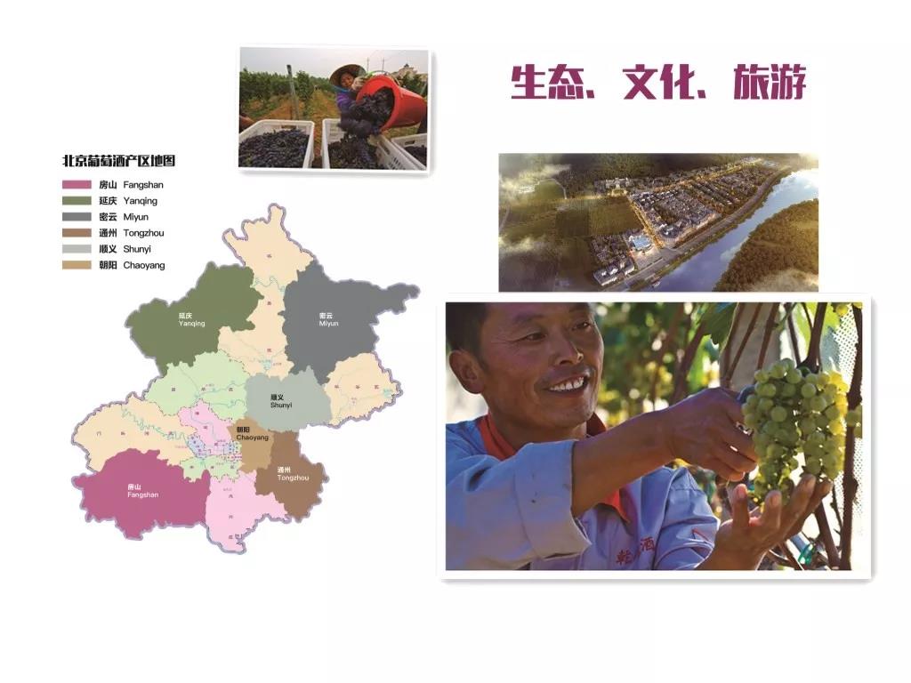 微信图片_20190626162413.jpg