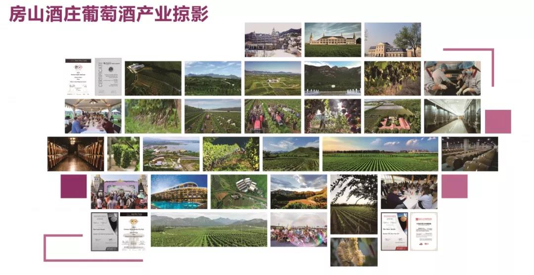 微信图片_20190626162428.jpg