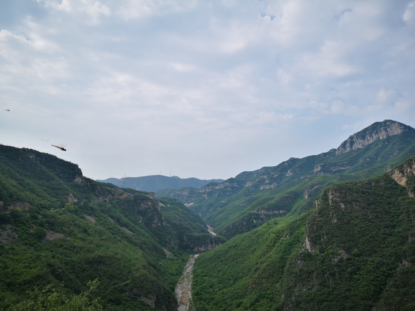 微信图片_20190801135942.png