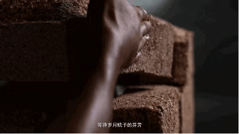 图片缺失