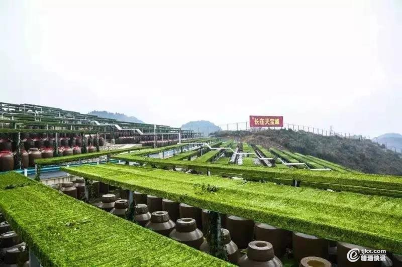 微信图片_20190828105728.jpg