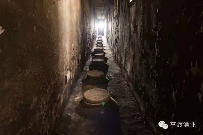 U型窖 水印.jpg U型窖 水印.jpg