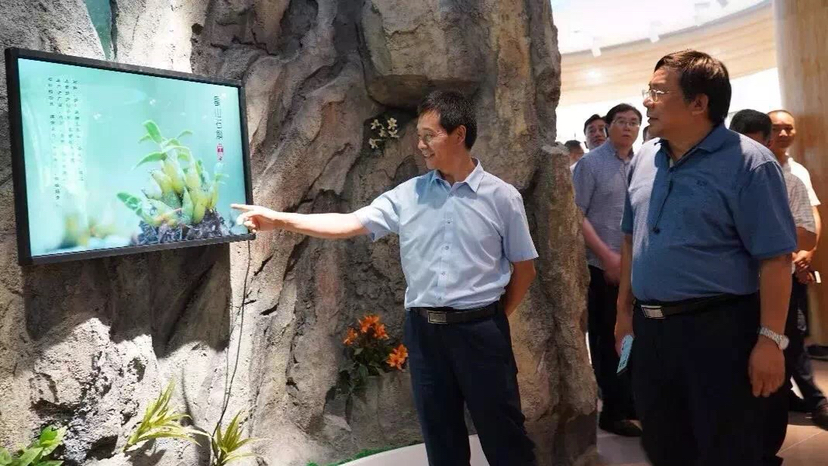 图片缺失