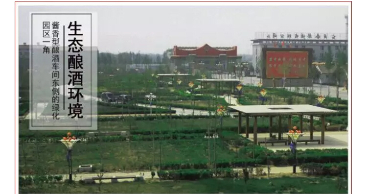 图片缺失