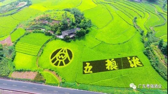 微信图片_20190930080108.jpg