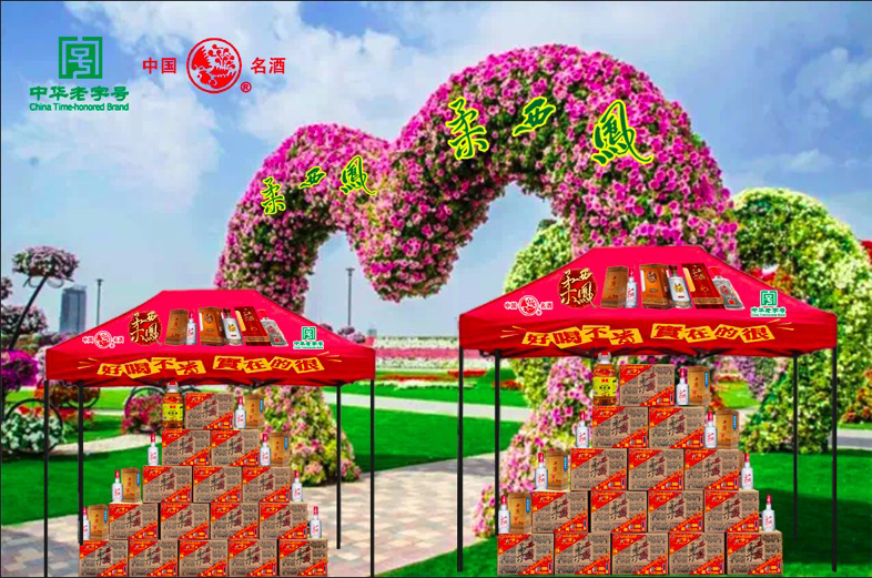 图片缺失