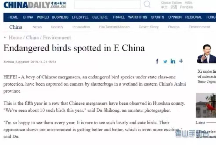 图片缺失