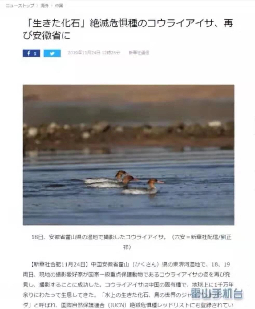 图片缺失