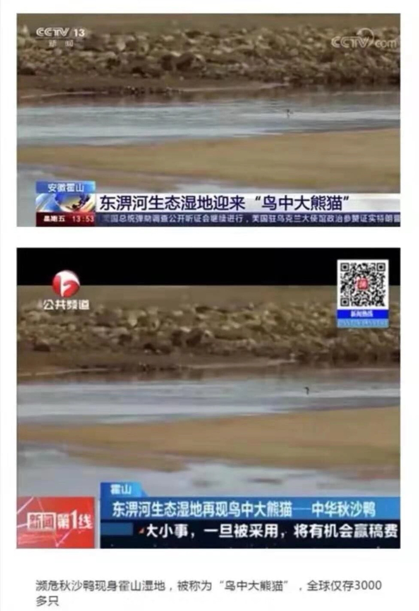 图片缺失