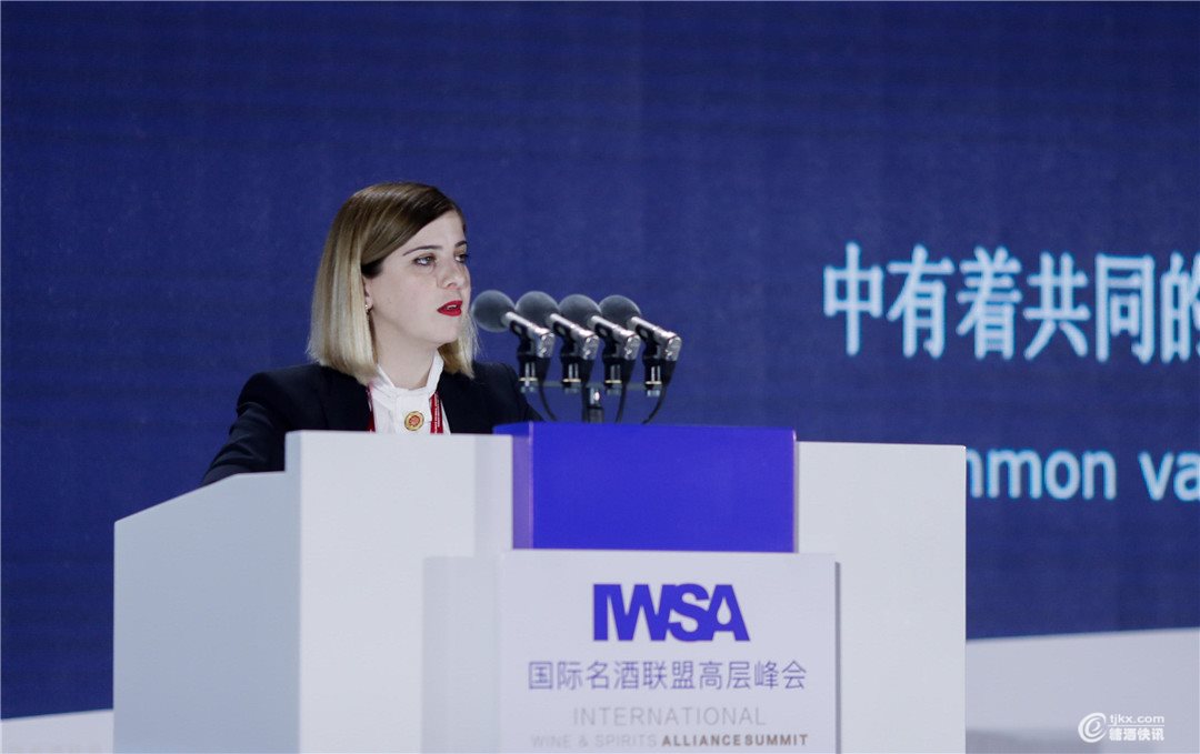 3.格鲁吉亚环境保护与农业部副部长卡蒂亚?茨罗莎妮致辞.jpg