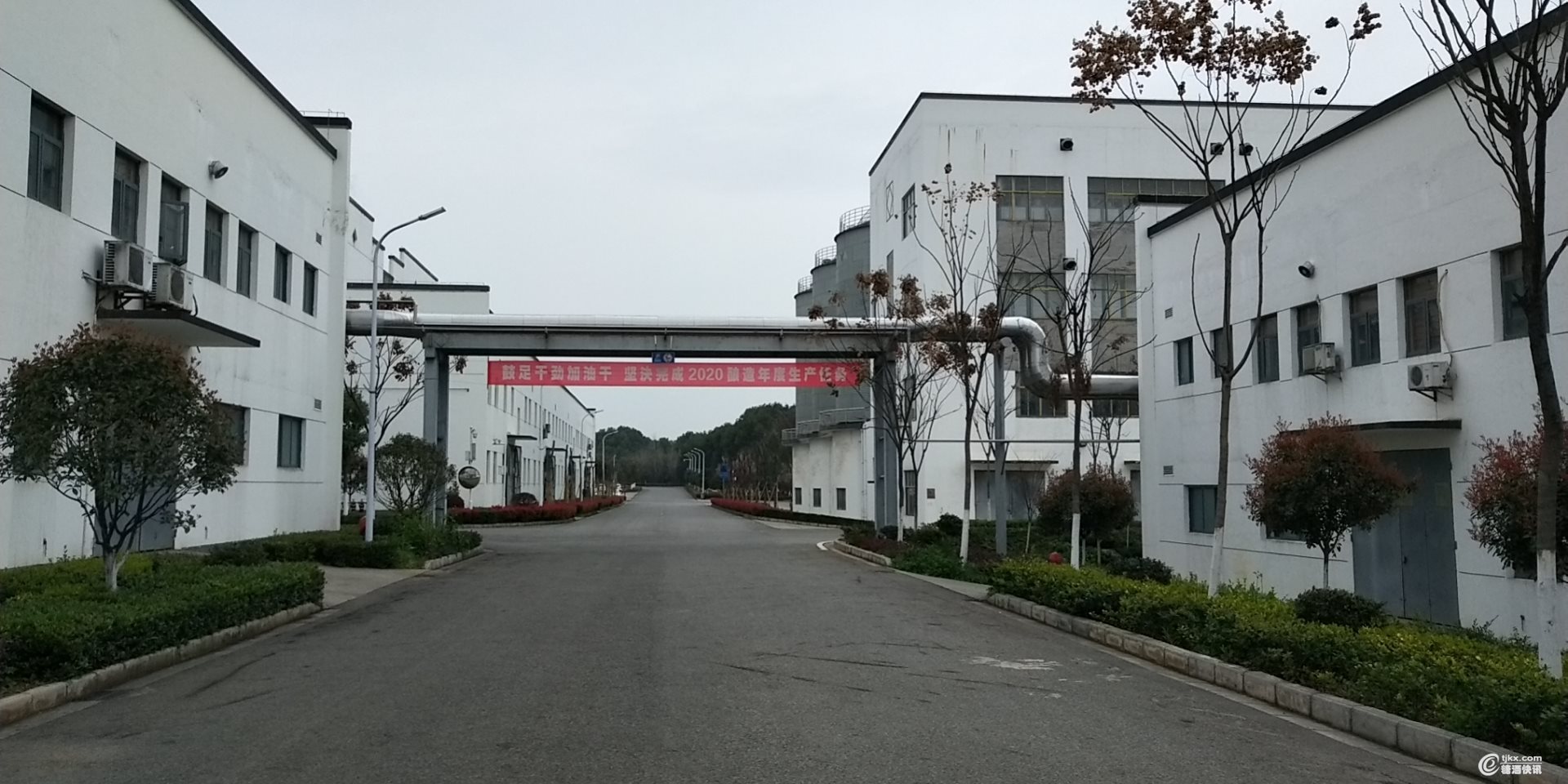 微信图片_20200311153432.jpg
