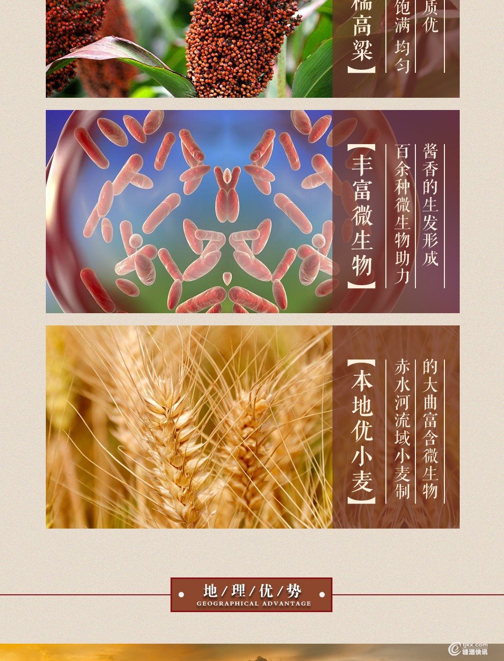 酱中将-详情页-黄色_990_06.jpg