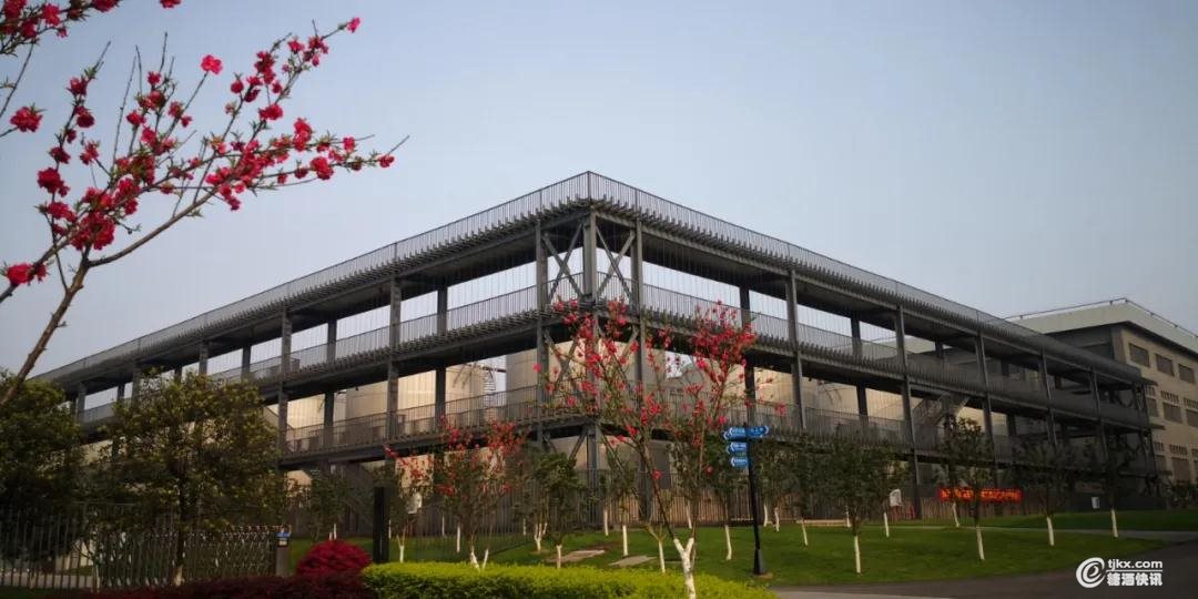 江小白3.jpg