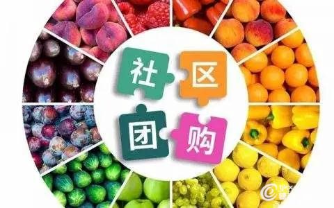 食品1.jpg