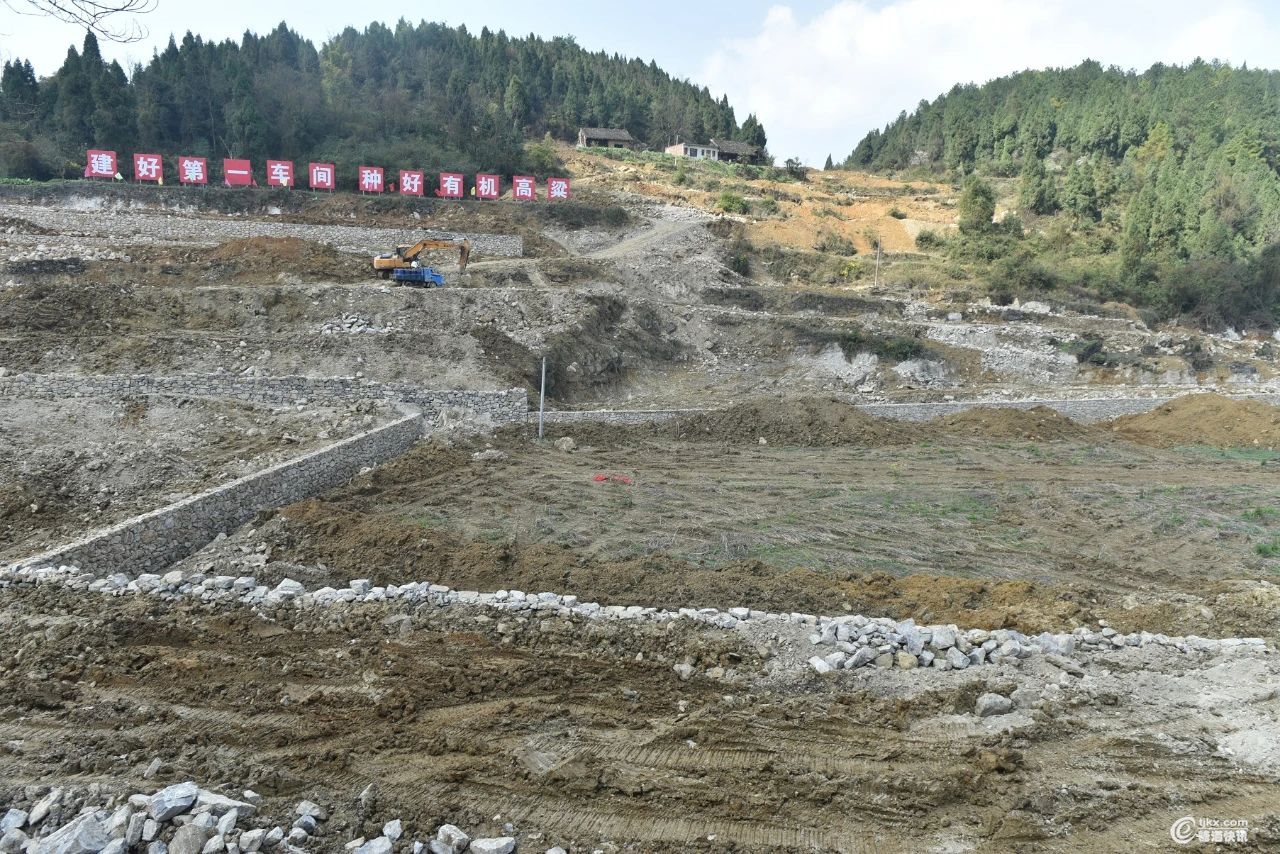 M2.jpg