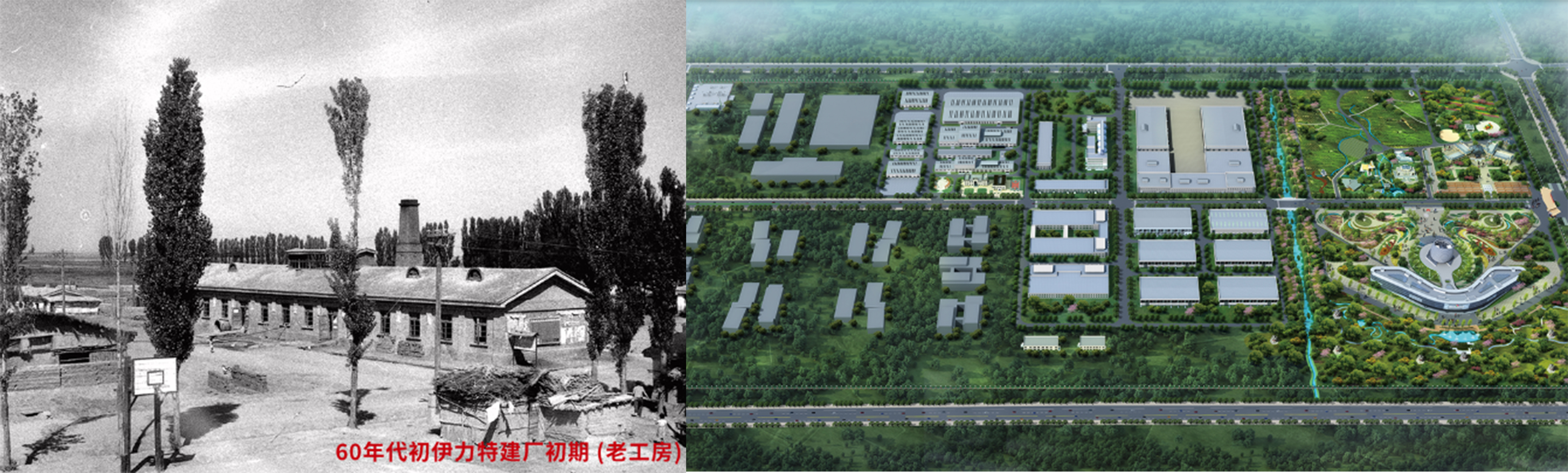 伊力特厂区.jpg
