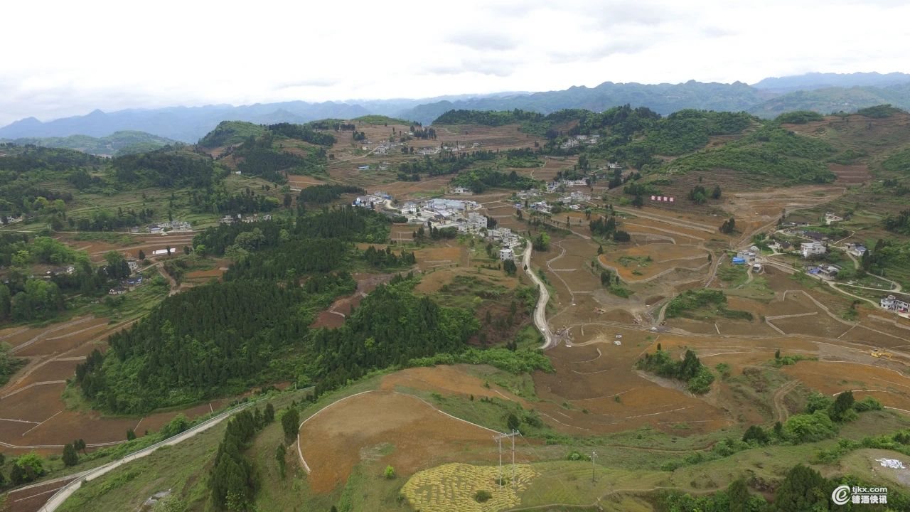 狗舍面积78平米的秦岭超级别墅:酒窖里都是茅台五粮液