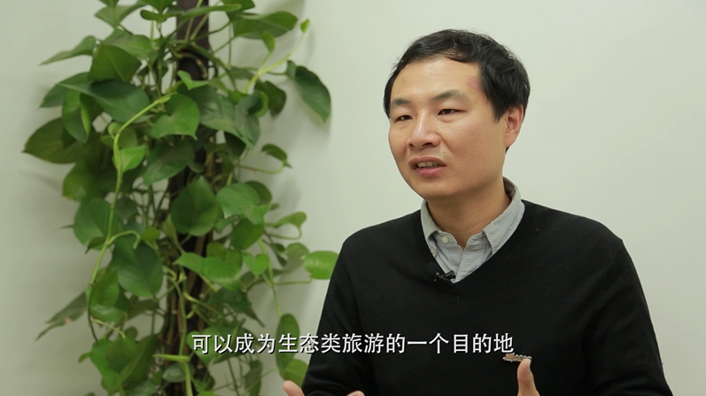 图片缺失
