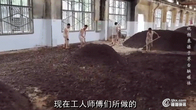 01.gif