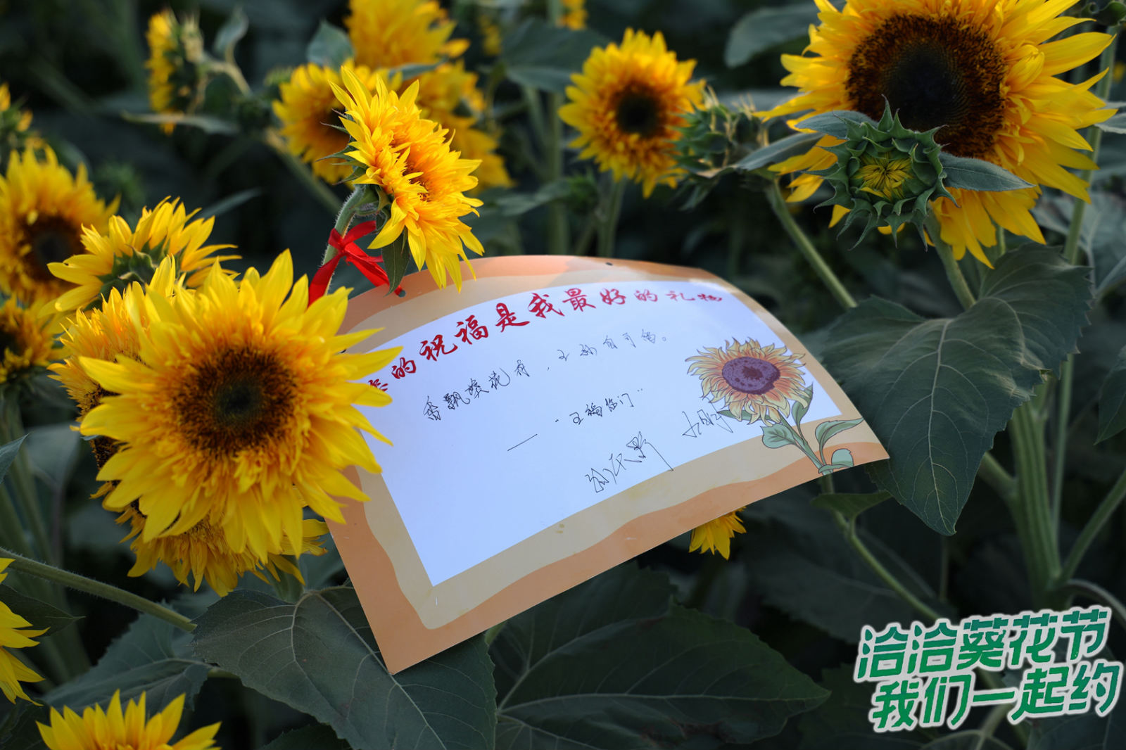 图片7_meitu_4.jpg
