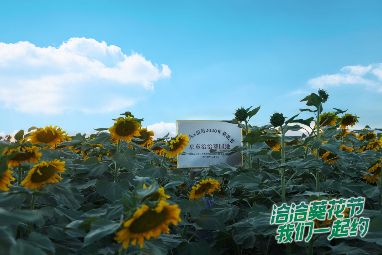 图片14_meitu_11.jpg