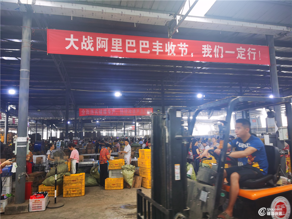 图片 1.png