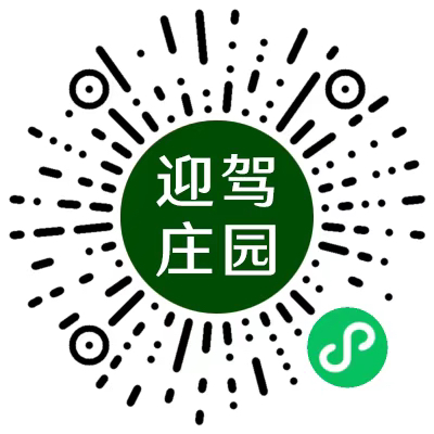 图片缺失